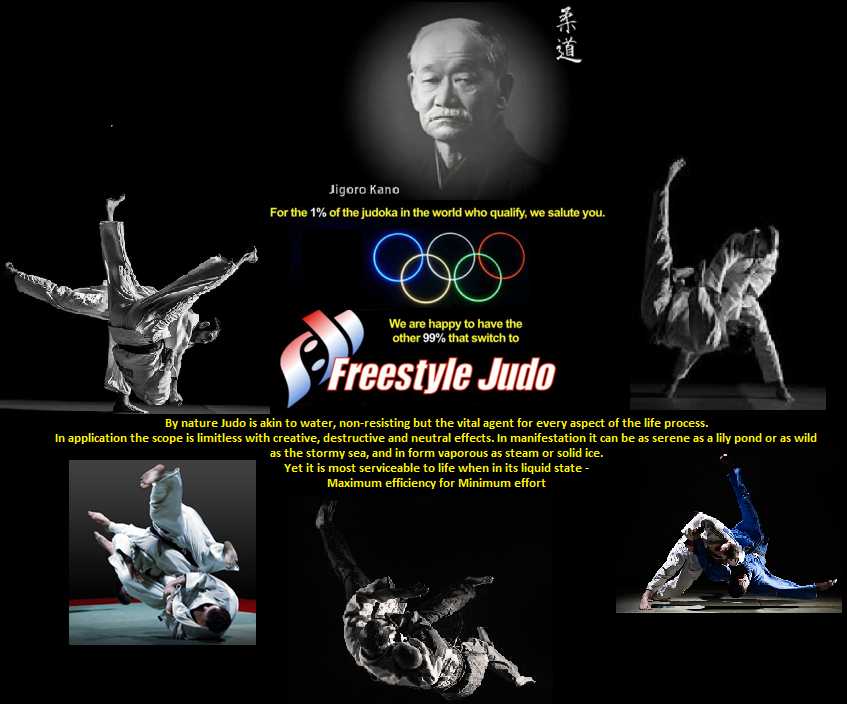 Freestyle Judo South African Organization Alliance & Judo For All South Africa